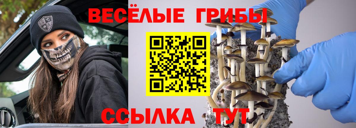 Галлюциногенные грибы мицелий  Вход с VPN  Гусиноозёрск  Псилоцибиновые грибы Psilocybine cubensis 