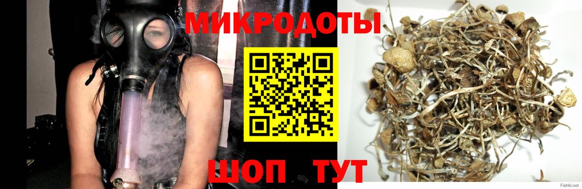 Галлюциногенные грибы мухоморы Гусиноозёрск